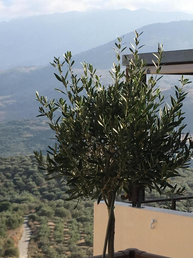 Marjoram - Morfi Village Exopoli Exteriér fotografie